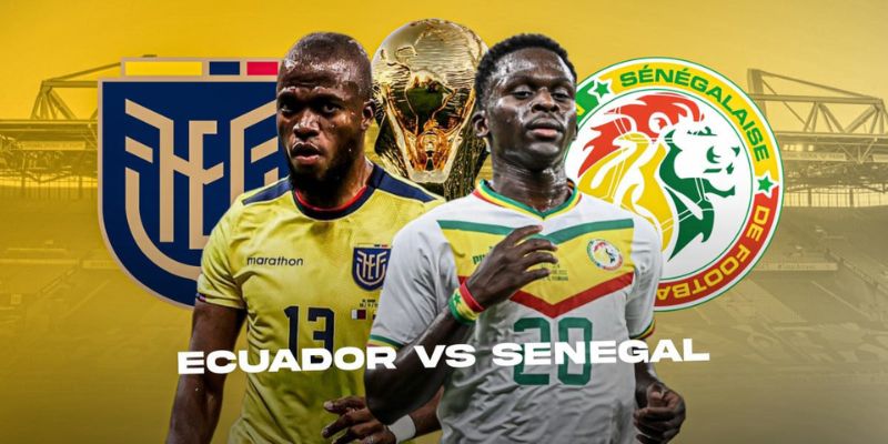 Bật mí một số lưu ý cần nắm được nếu muốn nhận định kèo Ecuador vs Senegal